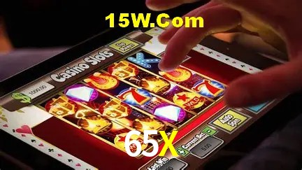 Sistemas de Segurança 65X